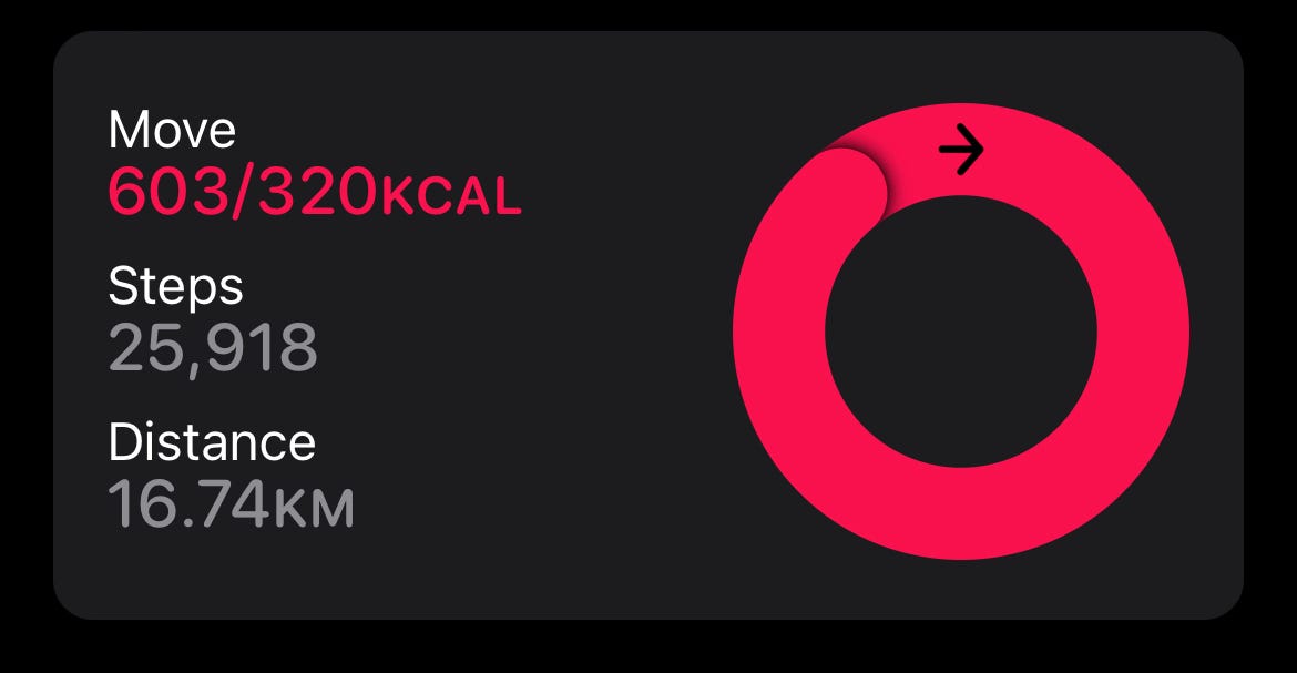 We walked 17km that day